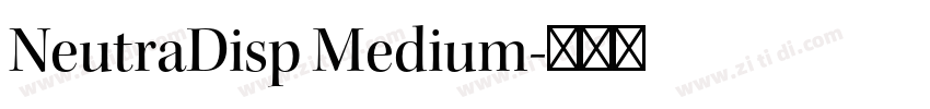 NeutraDisp Medium字体转换